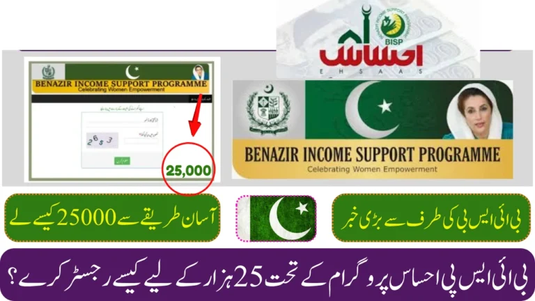 Ehsaas Program 8171 CNIC Check 2025 – Rs. 25,000 Payment Latest Update